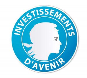 Lancement d’un nouvel appel à projets OpenData dans le cadre du Programme d’Investissements d’Avenir (PIA)